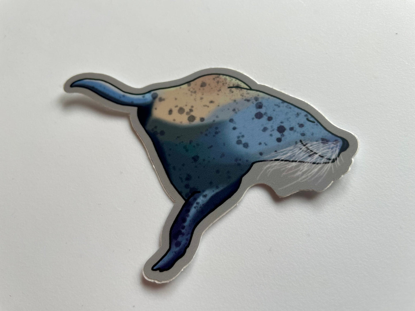 Alaska Sea Seal Sticker: Waterproof Vinyl Laptop Decal