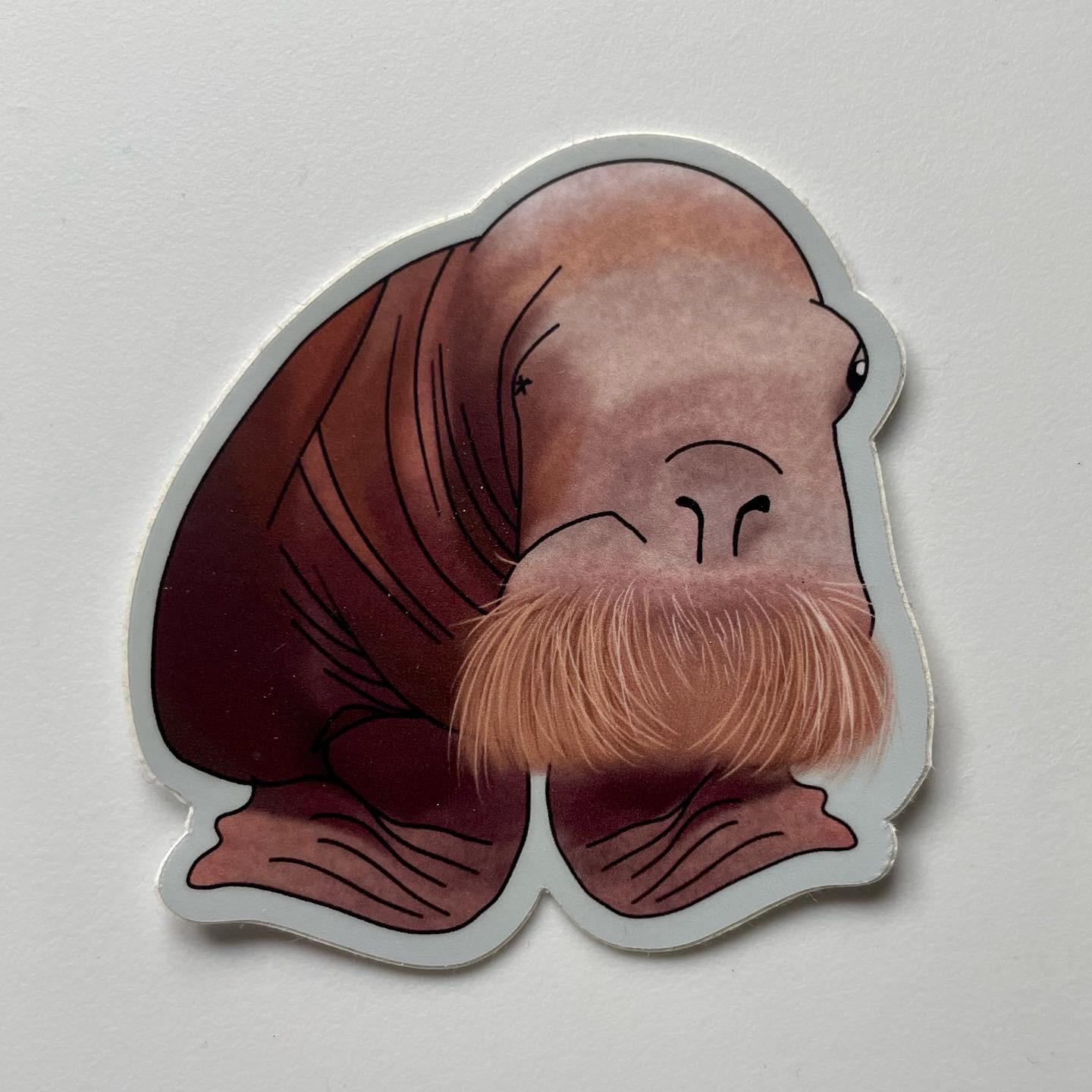 SEA SEAL STICKER- Vinyl Alaska Sticker - Waterproof Sticker - Bumper, Laptop Sticker - Alaska Illustration - Sea Life Sticker - Alaska Gift