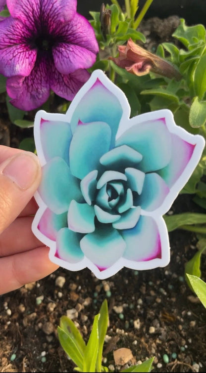 Original Artwork Succulent Sticker