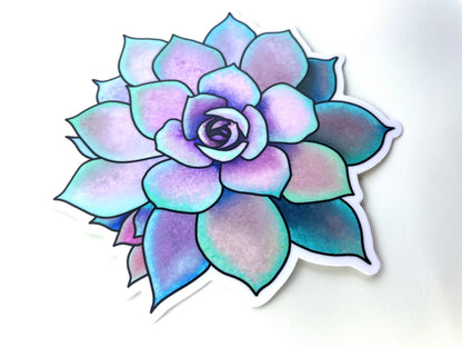 Original Artwork Succulent Sticker