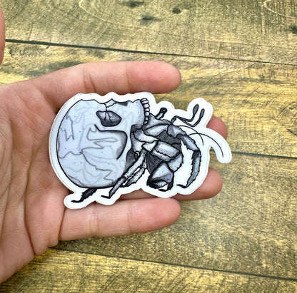 Skull Crab Sticker Original Artwork Waterproof Water Bottle and Laptop Decal