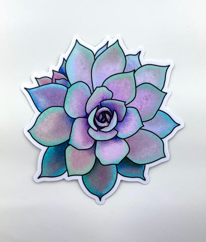 Original Artwork Succulent Sticker