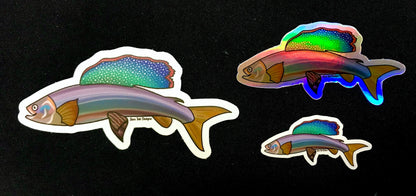 Arctic Grayling Fish Sticker: Holographic Alaska Decal