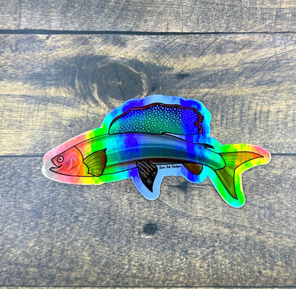 Arctic Grayling Fish Sticker: Holographic Alaska Decal