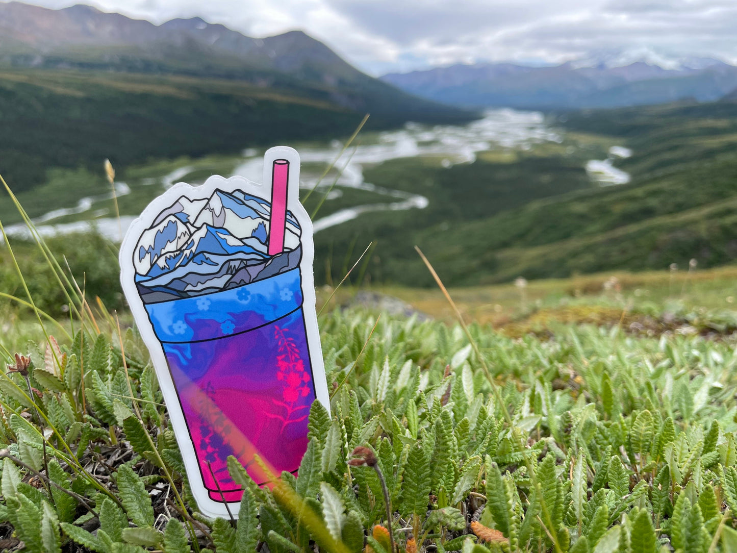 Fireweed Drink Sticker: Alaskan Wildflower Vinyl Decal
