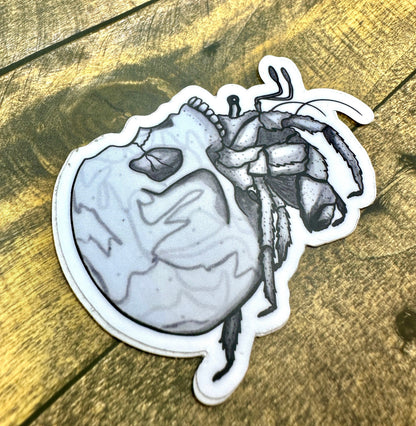 Skull Crab Sticker Original Artwork Waterproof Water Bottle and Laptop Decal