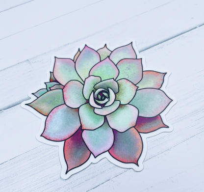 Original Artwork Succulent Pink Edition Sticker