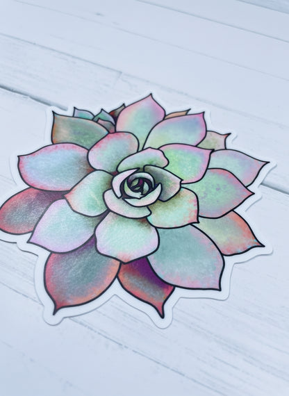 Original Artwork Succulent Pink Edition Sticker