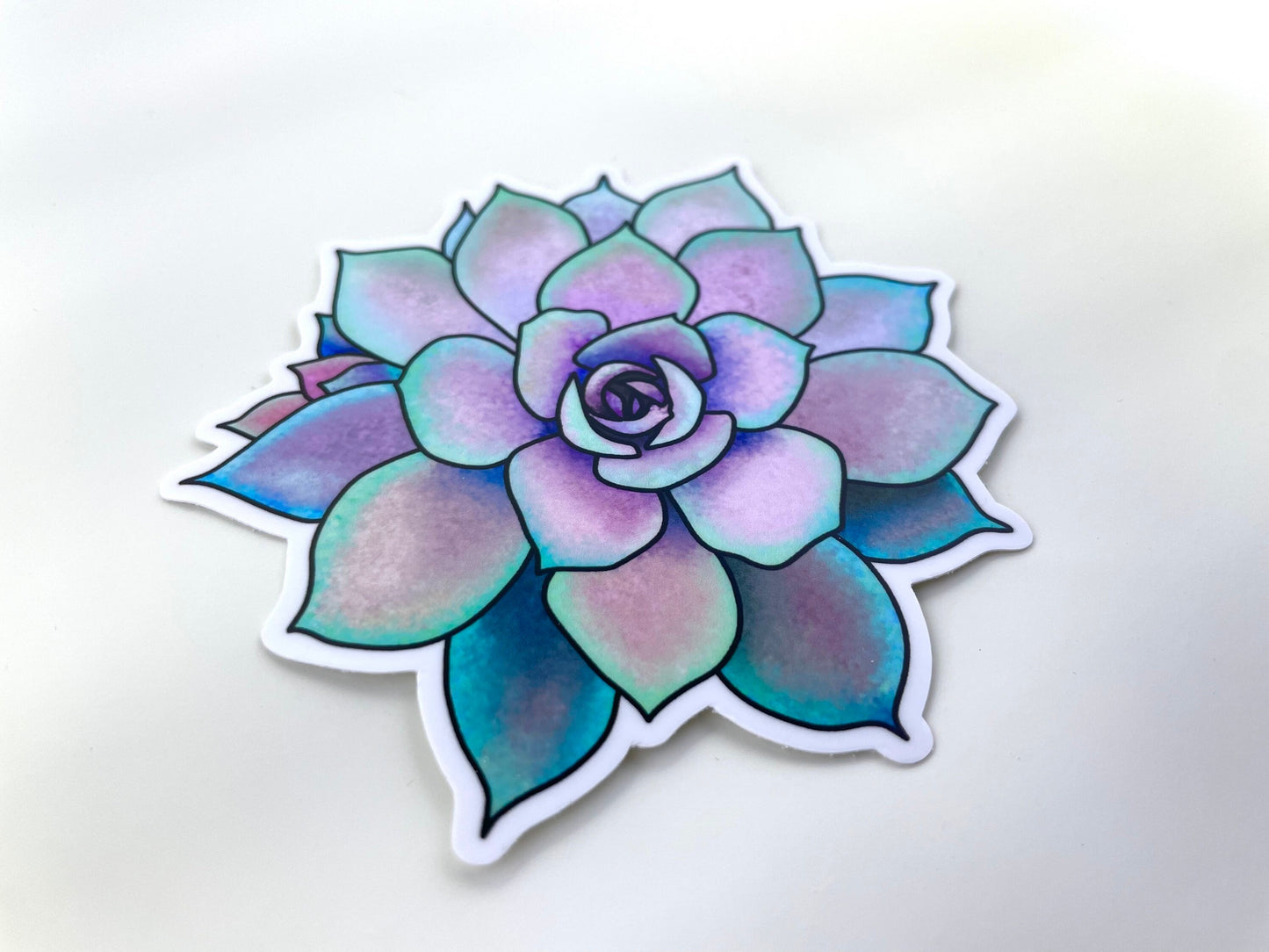 Original Artwork Succulent Sticker