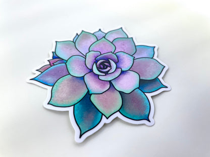 Original Artwork Succulent Sticker
