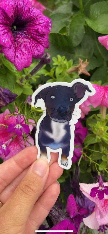 Save Leo’s Leg Fundraiser Dog Stickers