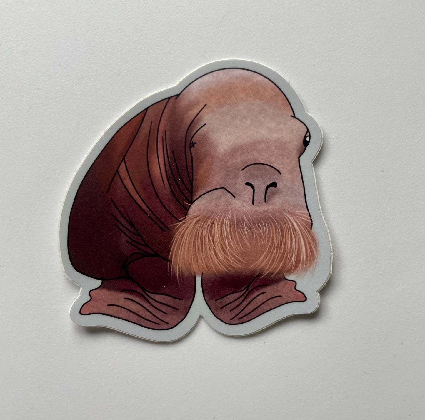 Alaska Sea Seal Sticker: Waterproof Vinyl Laptop Decal